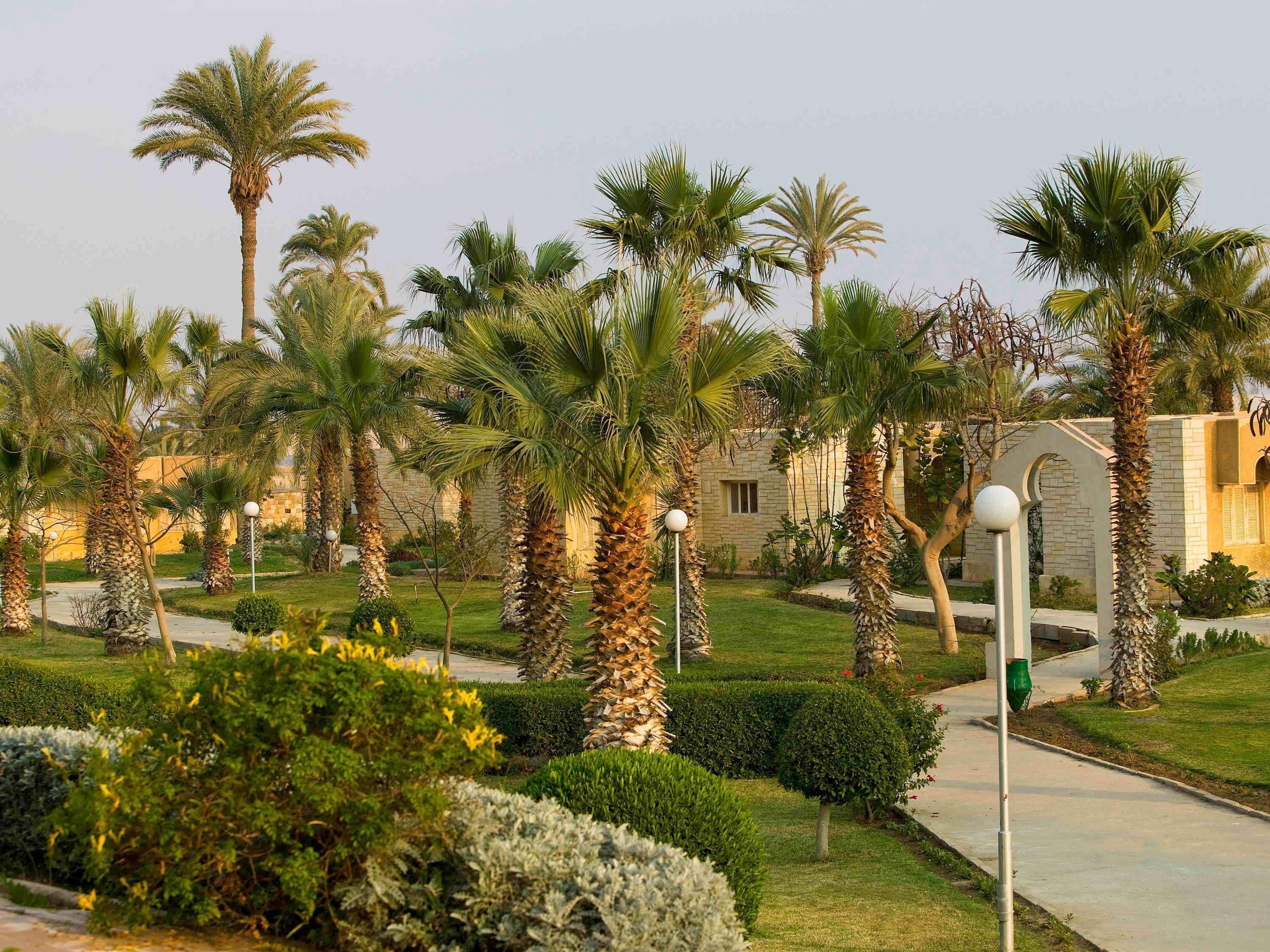 Mercure Ismailia Forsan Island Esterno foto