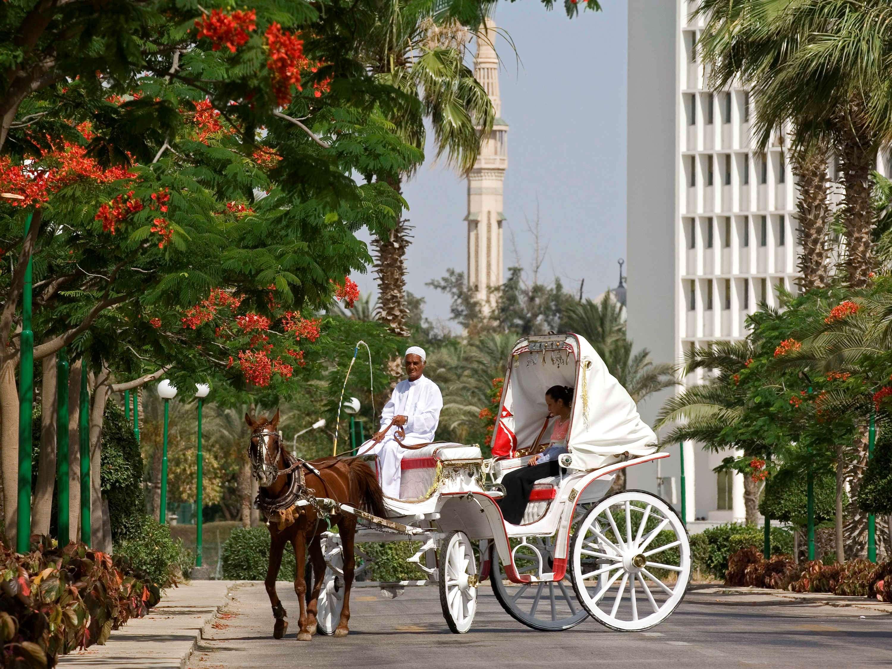 Mercure Ismailia Forsan Island Esterno foto